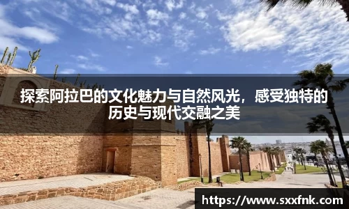 彩神VI首页官网