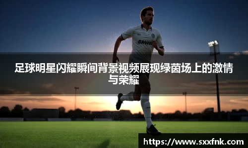 彩神VI首页官网