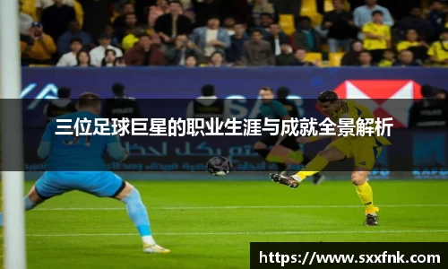 彩神VI首页官网